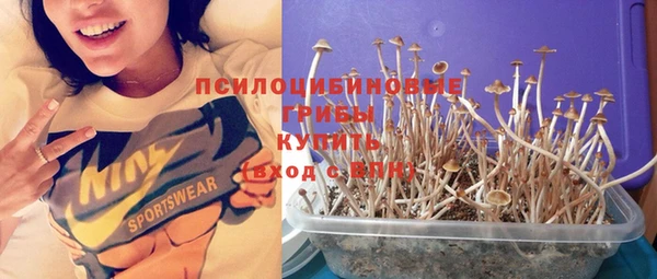 МДПВ Богданович
