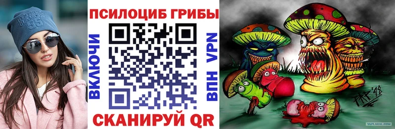 дарнет шоп Златоуст Галлюциногенные грибы GOLDEN TEACHER
